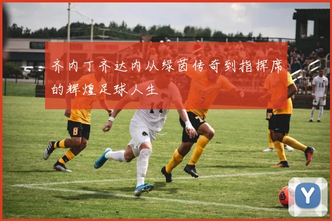 齐内丁齐达内从绿茵传奇到指挥席的辉煌足球人生