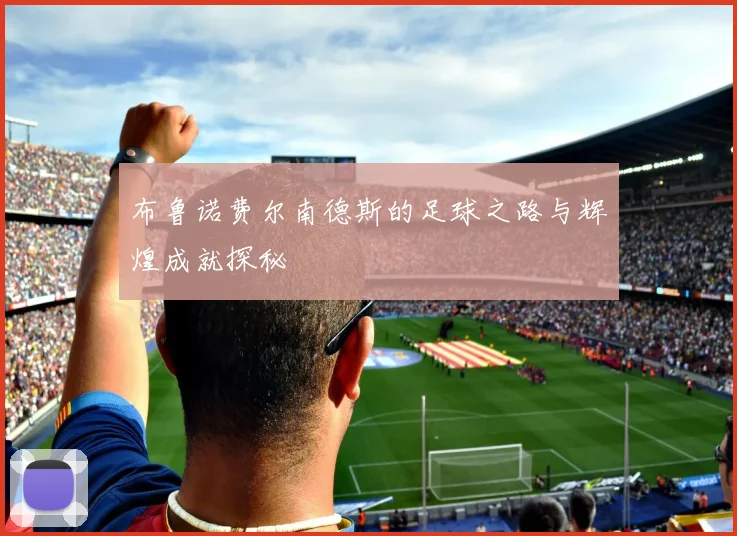 布鲁诺费尔南德斯的足球之路与辉煌成就探秘