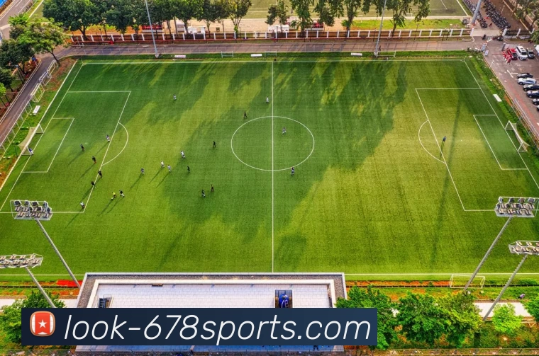 678体育平台生态图