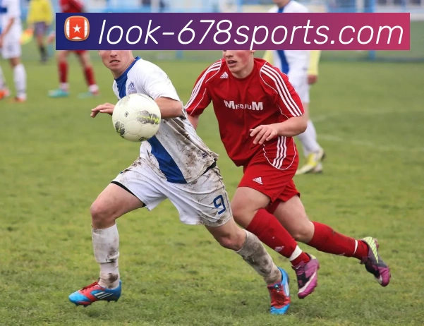 678体育APP 封面图